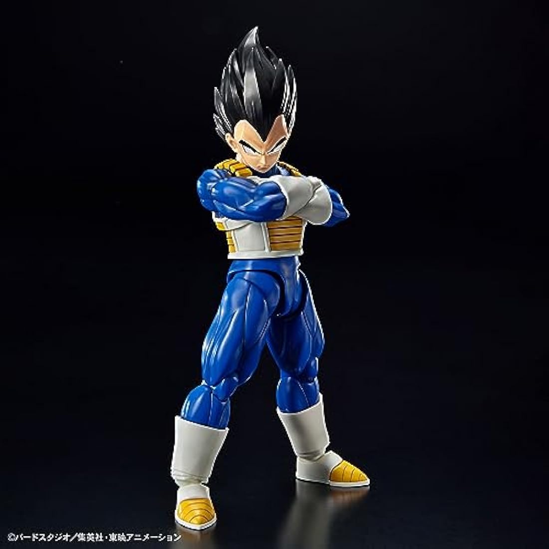 BANDAI SPIRITS(バンダイ スピリッツ DRAGON BALL - Figure-rise Standard Vegeta (NEW SPEC Ver.) - Model Kit