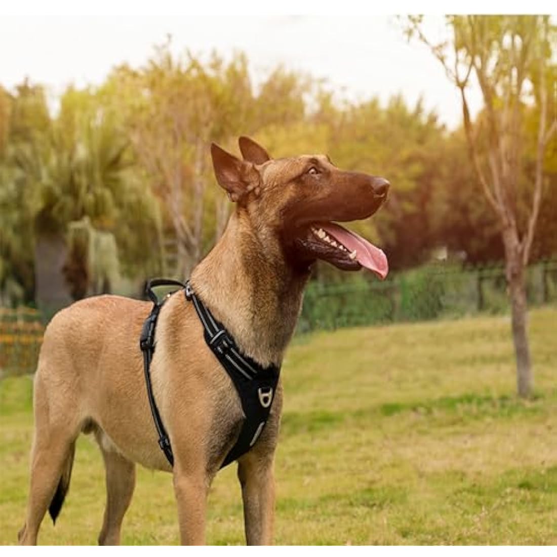 WINHYEPET True Love No-Pull Dog Harness,Adjustable Outdoor Vest Reflective Nylon Soft Pet Harness Dog Suitable Small Medium Large Breeds TLH5654(Black,XL)