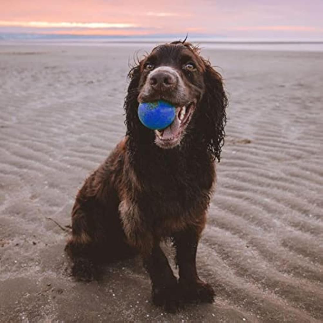 SPORTSPET Tough Bounce Natural Rubber Dog Balls – Highly Durable Tough Bounce Balls, Tennis Ball Size (65mm) – 4 Pack - Colourway 2