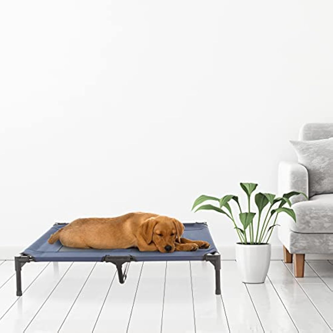 PETMAKER Elevated Dog Bed - 36x29.75-Inch Portable Pet Bed with Non-Slip Feet - Indoor/Outdoor Dog Cot or Puppy Bed for Pets up to 80lbs (Blue)