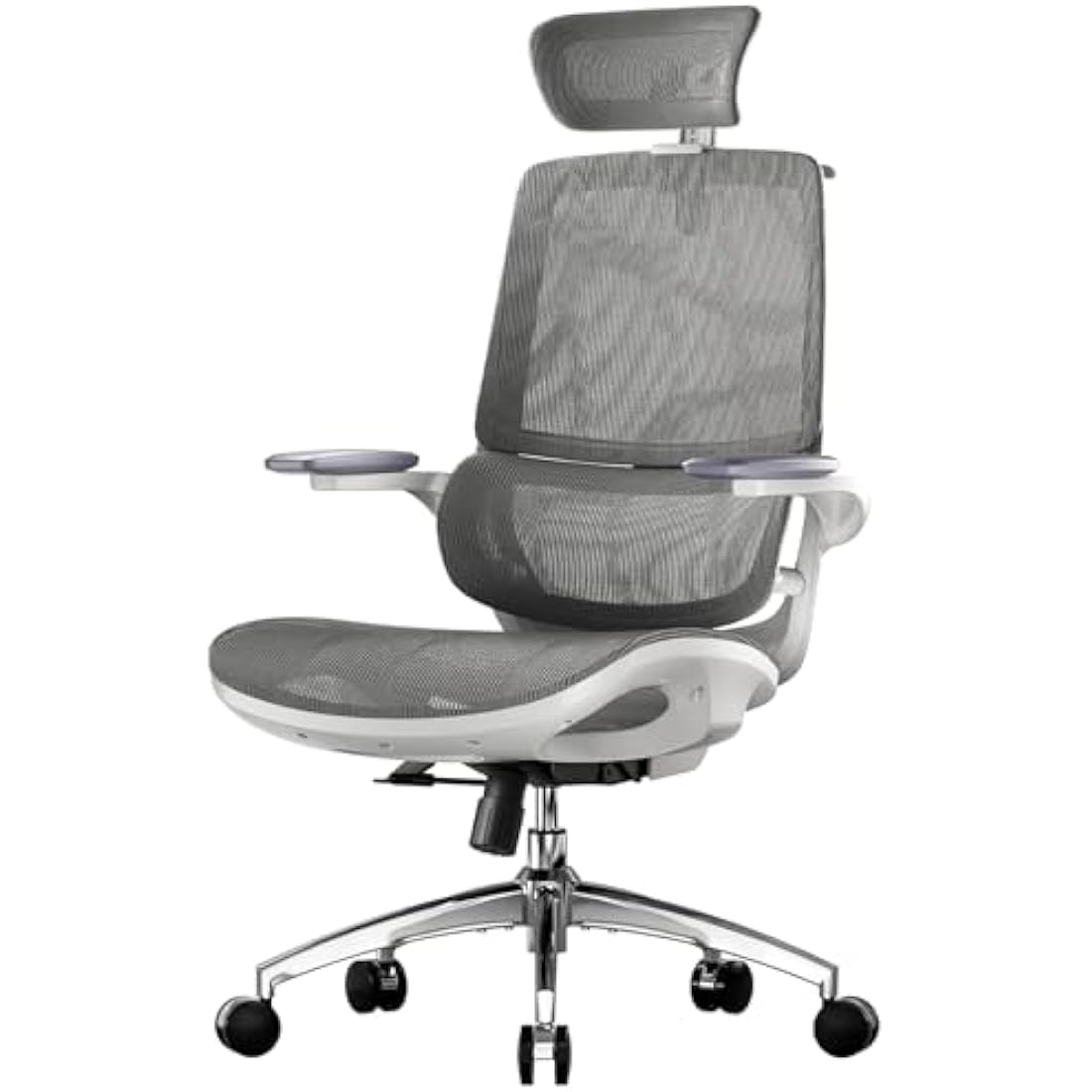 SIHOO M59AS Ergonomic Office Chair, Desk Chair with 3D Coordinated Flip-up Armrests, Computer Chair with Dual Back Design and Adaptive Dynamic Lumbar Support(Grey)