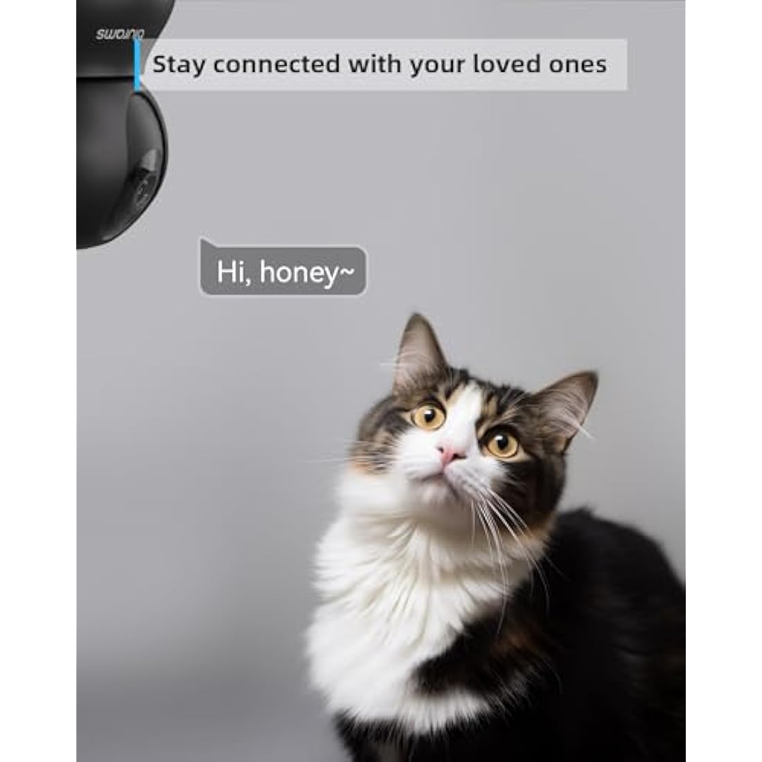 blurams Pet Camera 2K, Indoor Camera, Dog Camera, 360° Home Security Camera, Night Vision, Motion Tracking, 2-Way Talk, Cloud&SD, APP Control, Works with Alexa