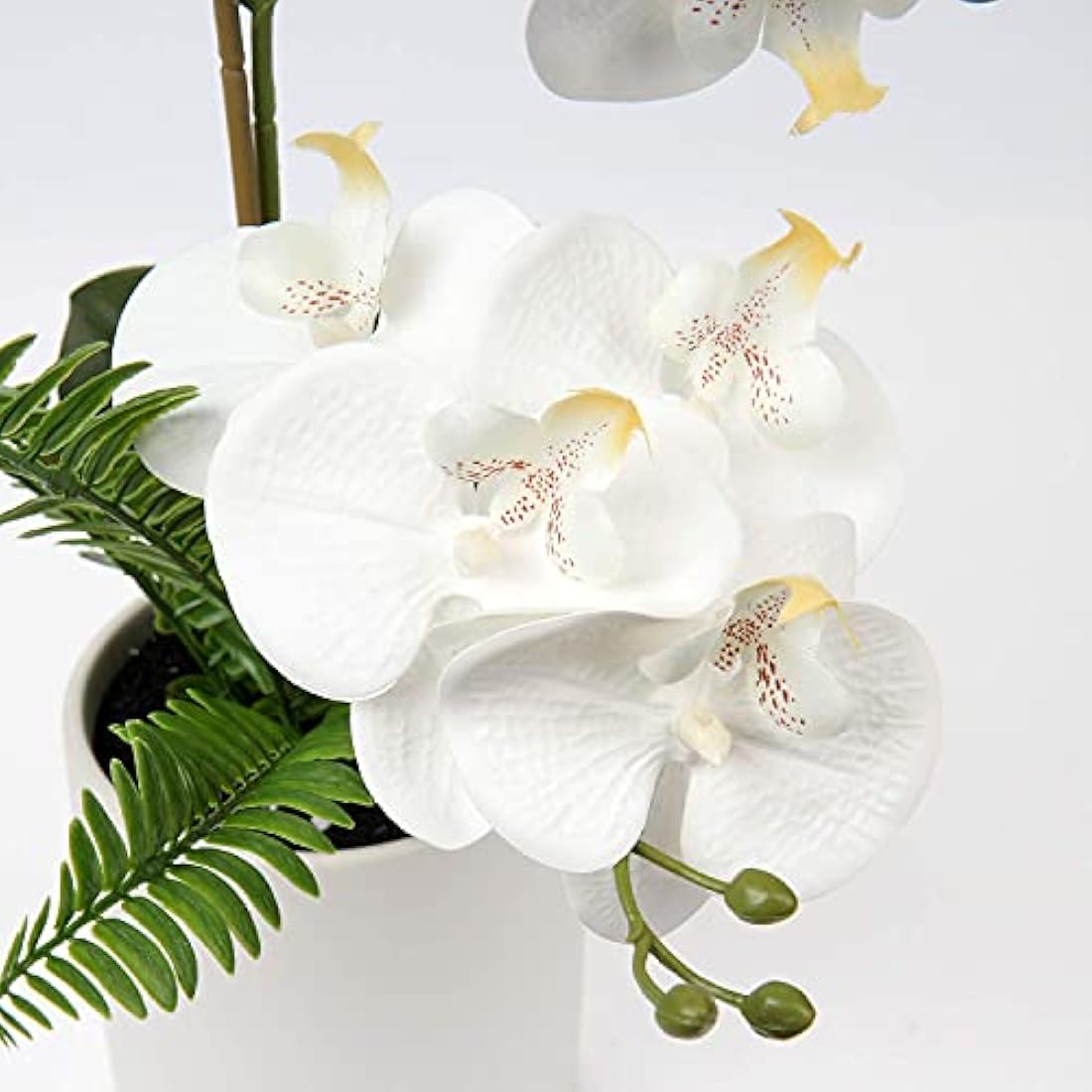 Briful White Orchid Artificial Flowers in Ceramic Pot Fake Orchid White Silk Phalaenopsis Flower Arrangement Artificial Orchid Plant Indoor for Home Office Kitchen Bedroom Wedding Decor