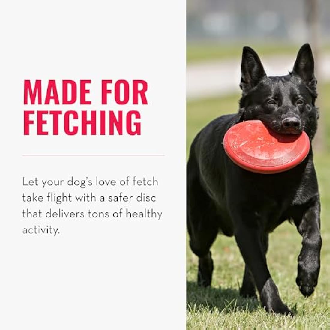 KONG Flyer - Durable Dog Toy for Outdoor Playtime - Natural Rubber Flying Disc for Fetch - For Medium/Large Dogs