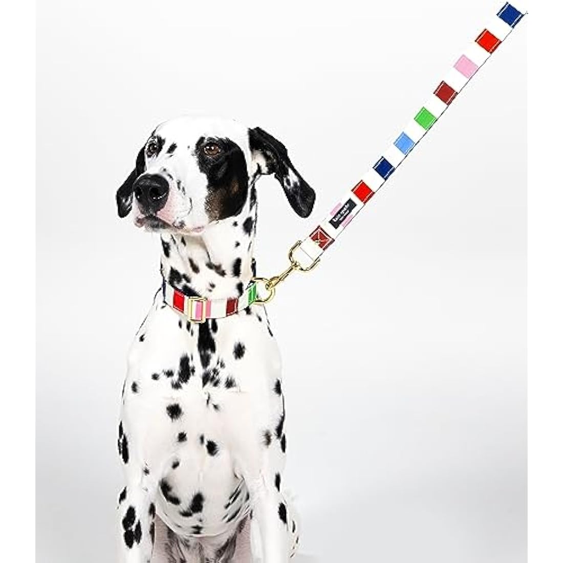 Kate Spade New York Cute Dog Collar, Gold Metal Buckle Dog Collar, 15.5" to 24" Adjustable Dog Collar for Female or Male Dogs, Stylish Dog Collar for Medium and Large Breeds (Adventure Stripe)