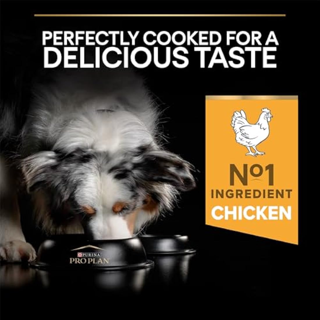PRO PLAN Adult Performance Dry Dog Food with Chicken 14kg