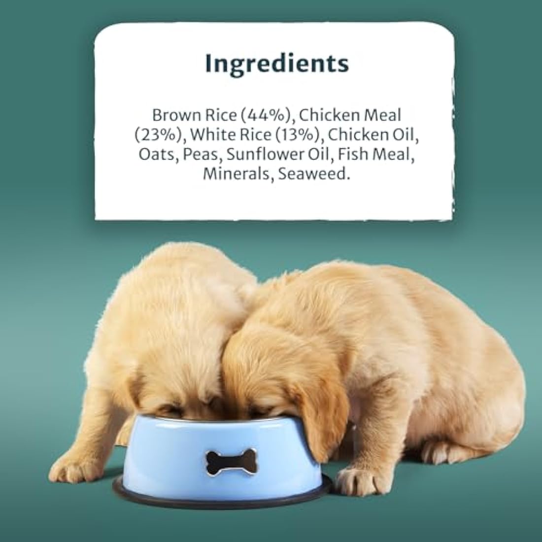 Burns Pet Nutrition Hypoallergenic Complete Dry Dog Food Puppy Mini Chicken and Rice 6 kg