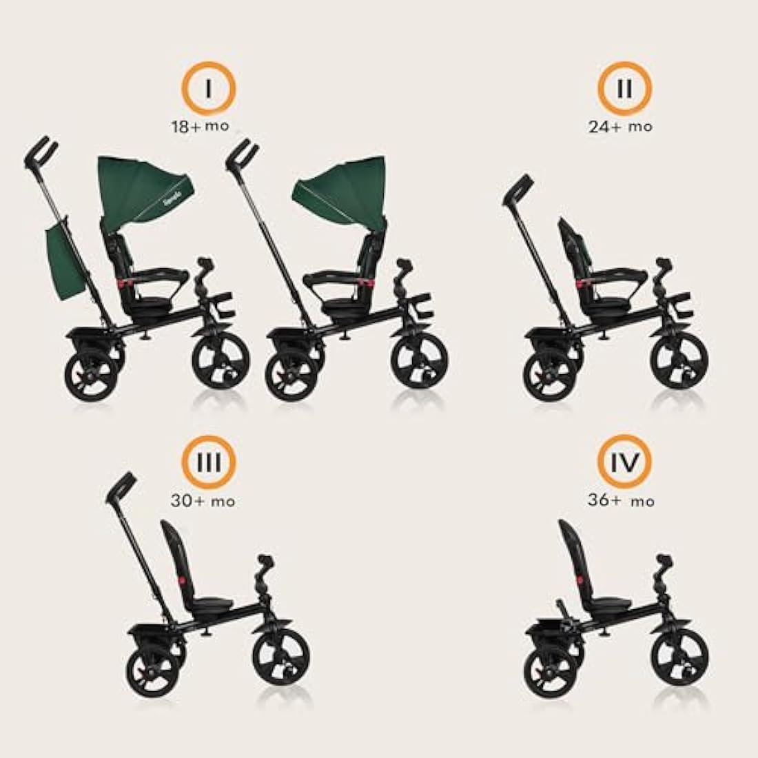 LIONELO Haari 2in1 Kids Tricycle Stroller for toddlers 1-5 Years Up to 25kg Parent steering control Swivel seat Three wheeler Bike Harness Canopy Basket Cup Holder Robust frame Durable wheels (Green)