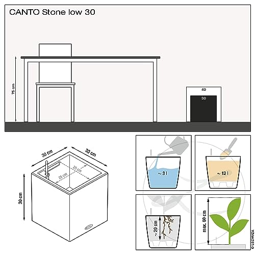 Lechuza Self Watering Plant Pot CANTO Stone 30 Low Plastic Indoor and Outdoor Plant Pot with Drainage Hole H30 L30 W30 cm Stone Grey