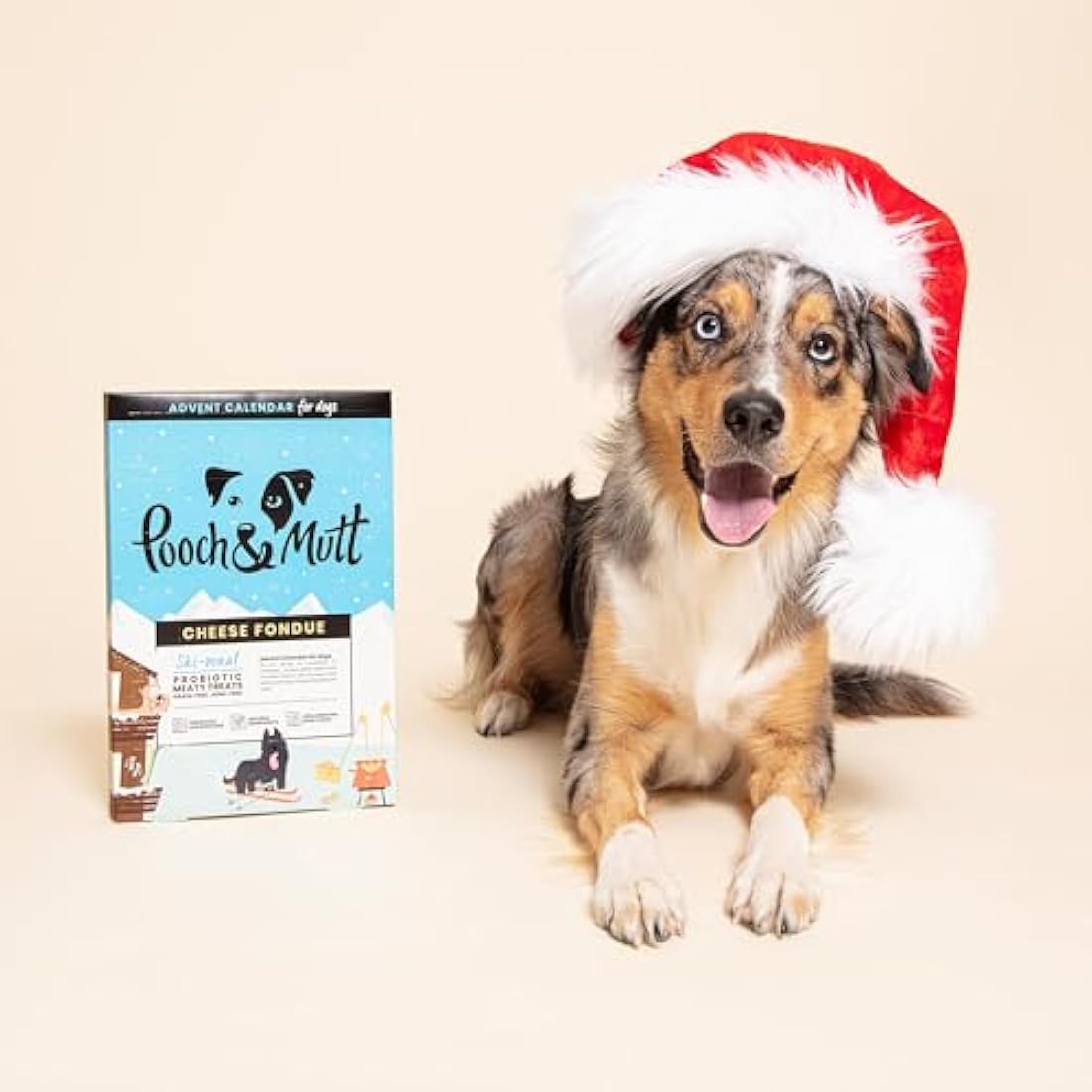 Pooch & Mutt - Christmas Advent Calendar for Dogs, with Natural Ingredients and Low Calories Christmas Calendar