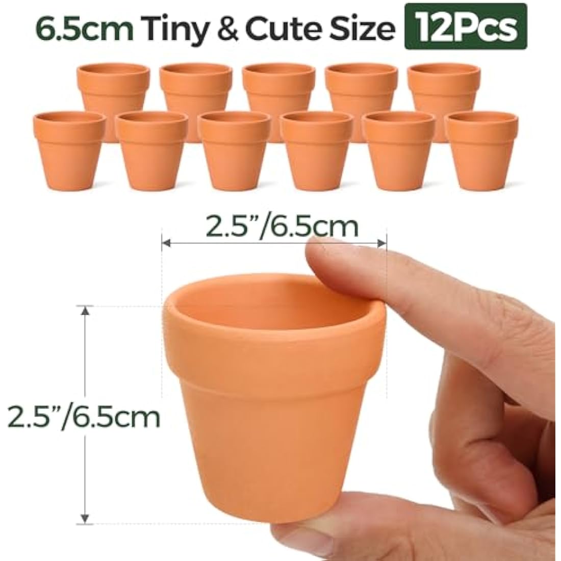 T4U 6.5CM Terracotta Plant Pots 12 Pcs, Mini Terracotta Pots with Drainage Holes, Small Clay Pots for Crafts, Small Plant Pots for Succulent Cactus Plants, DIY Mini Flower Pot, Gifts for Party Decor
