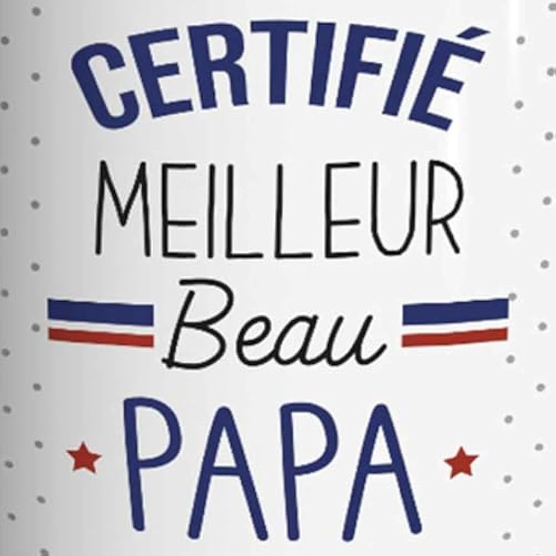 Mug with "Meilleur Beau Papa" ("Best Dad") Design [French Language]