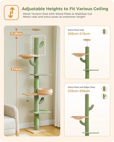 PAWZ Road Cactus Cat Tree Floor to Ceiling 5 spacious Platforms, Cat Tower 1 Hammock and Dangling Balls for Indoor Cats Adjustable Height(205-255cm)