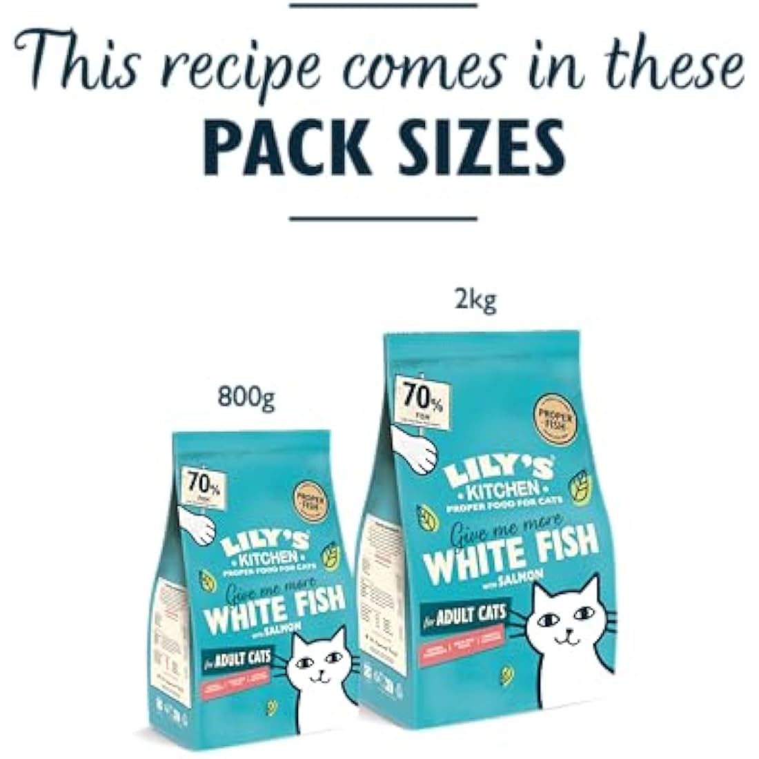 Lily's Kitchen Made with Natural Ingredients Adult Dry Cat Food White Fish with Salmon Grain-Free Recipe 4 x 800g
