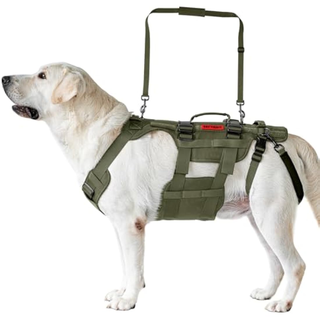 OneTigris Dog Lift Harness for Large Dogs, Dog Support Sling for Back Legs, DOG Lifter with Handles Invictus Multifunctional Mobility Assistance Vest Pet Hip Support Brace (Olive, L)