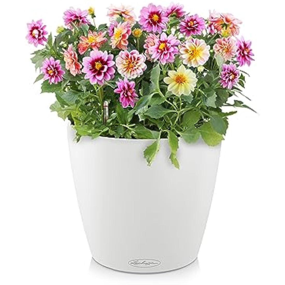 Lechuza CLASSICO Color 60 Self Watering Planter Large Garden Plastic Indoor and Outdoor Flower Plant Pot with Drainage Hole D60 H55.5 cm White