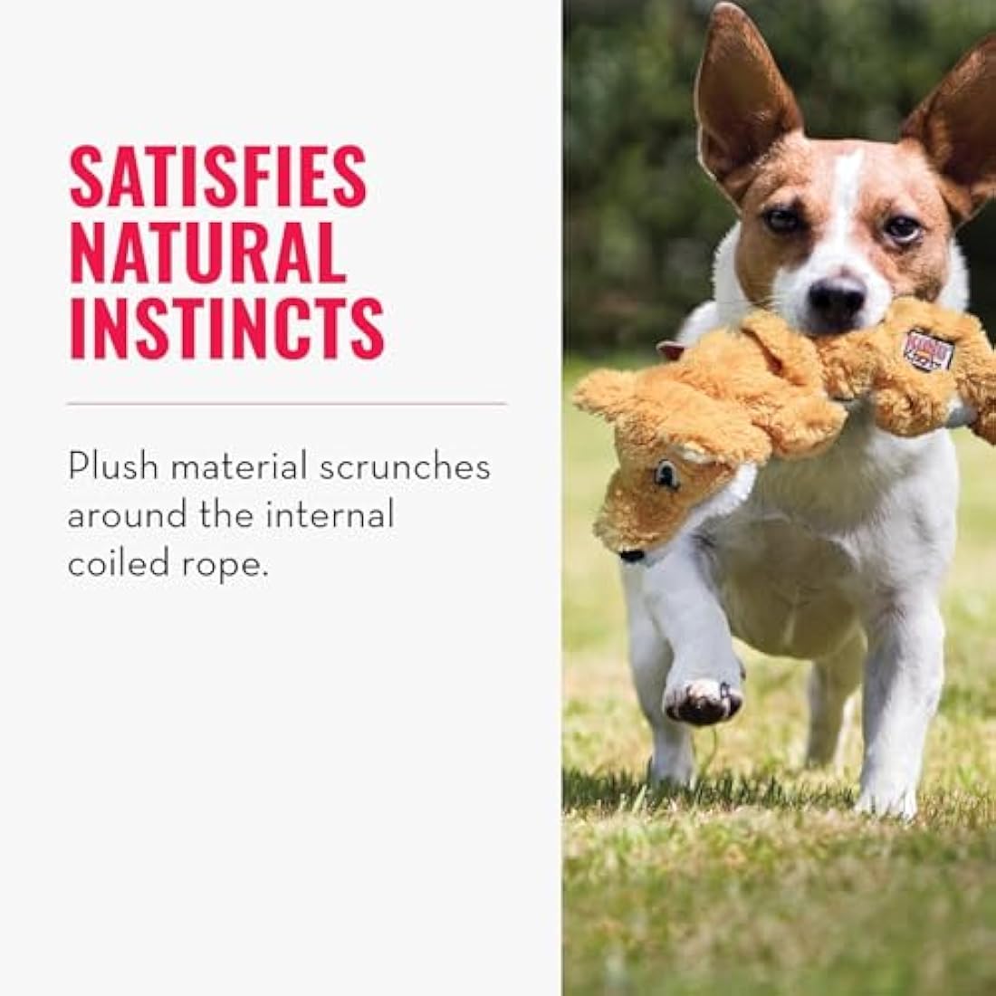 KONG - Scrunch Knots Raccoon - Internal Knotted Ropes and Minimal Stuffing for Less Mess - For Small/Medium Dogs