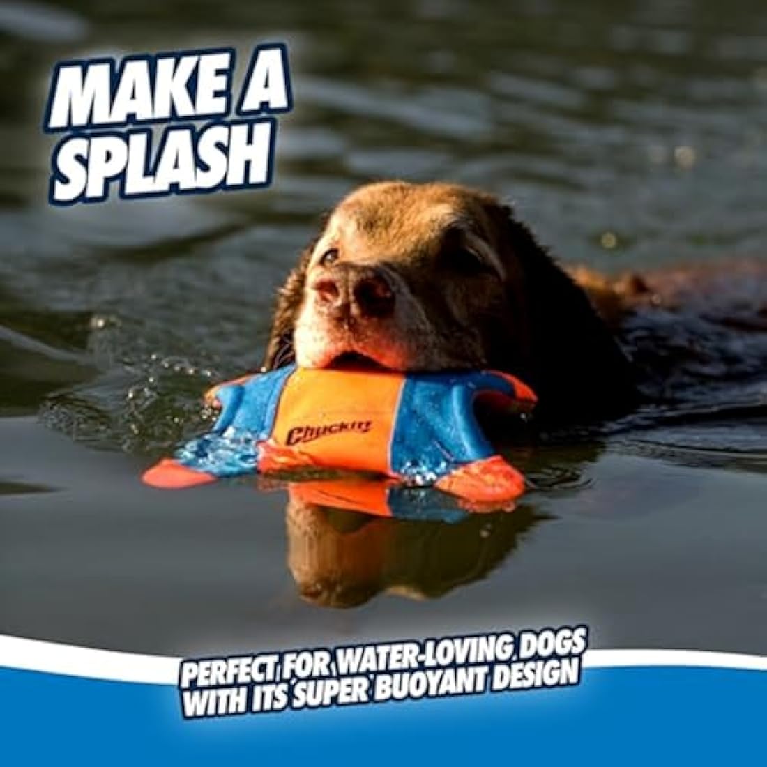 Chuckit! Flying Squirrel Dog Toy Floating Disc Frisbee Lightweight Interactive Tossing Fetch Toy For Dogs, Medium