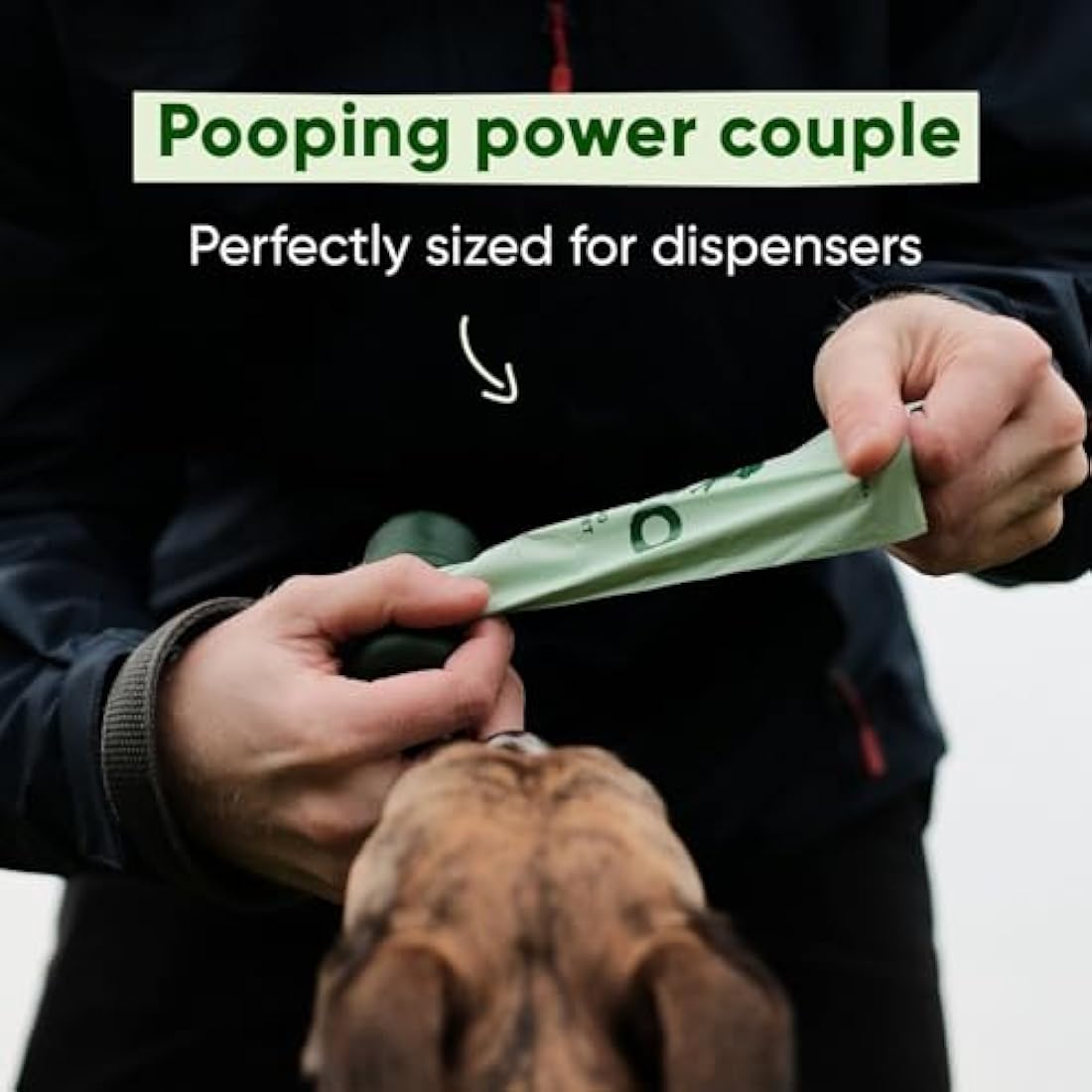 Beco Dog Poop Bags Rolls - Strong & Large - 120 Bags (8 Rolls of 15) Mint Scented, Dispenser Compatible for Dog Waste
