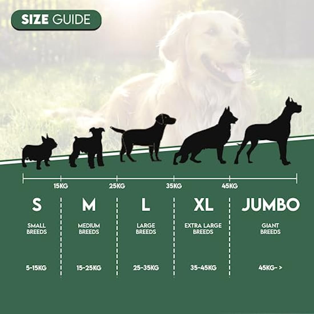100% Natural SPLIT Antler Dog Chews The Hypo-Allergenic Dog Chew Like Stagbar (Weight - Small 30 - 50g), Size May Vary