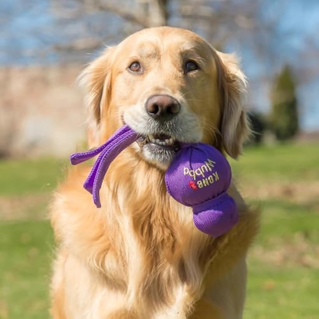 KONG Wubba Dog Toy - Assorted Colours, X-Large
