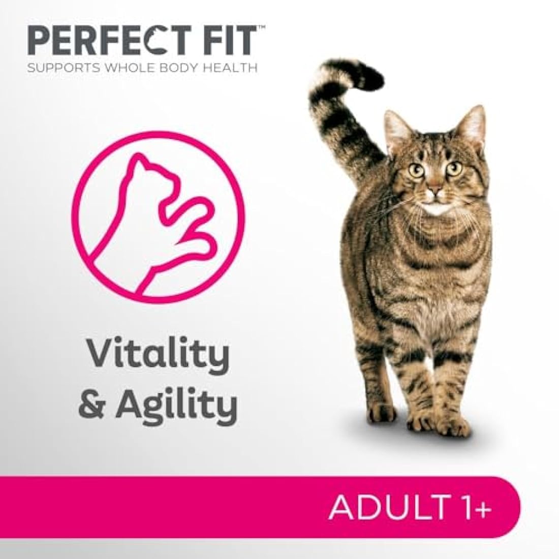 Perfect Fit 1+ Adult Mixed Selection in Sauce 48 Pouches, Complete Premium Wet Cat Food, Pack of 4 (12 x 85 g)