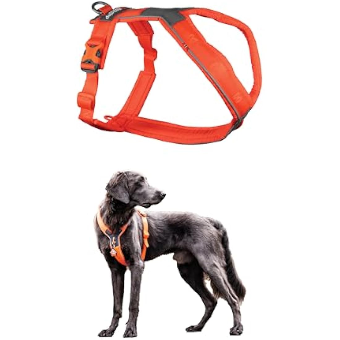 Nonstop Line Harness, Chest Harness, Guide Harness for Dogs, Adjustable Size (5, Orange)