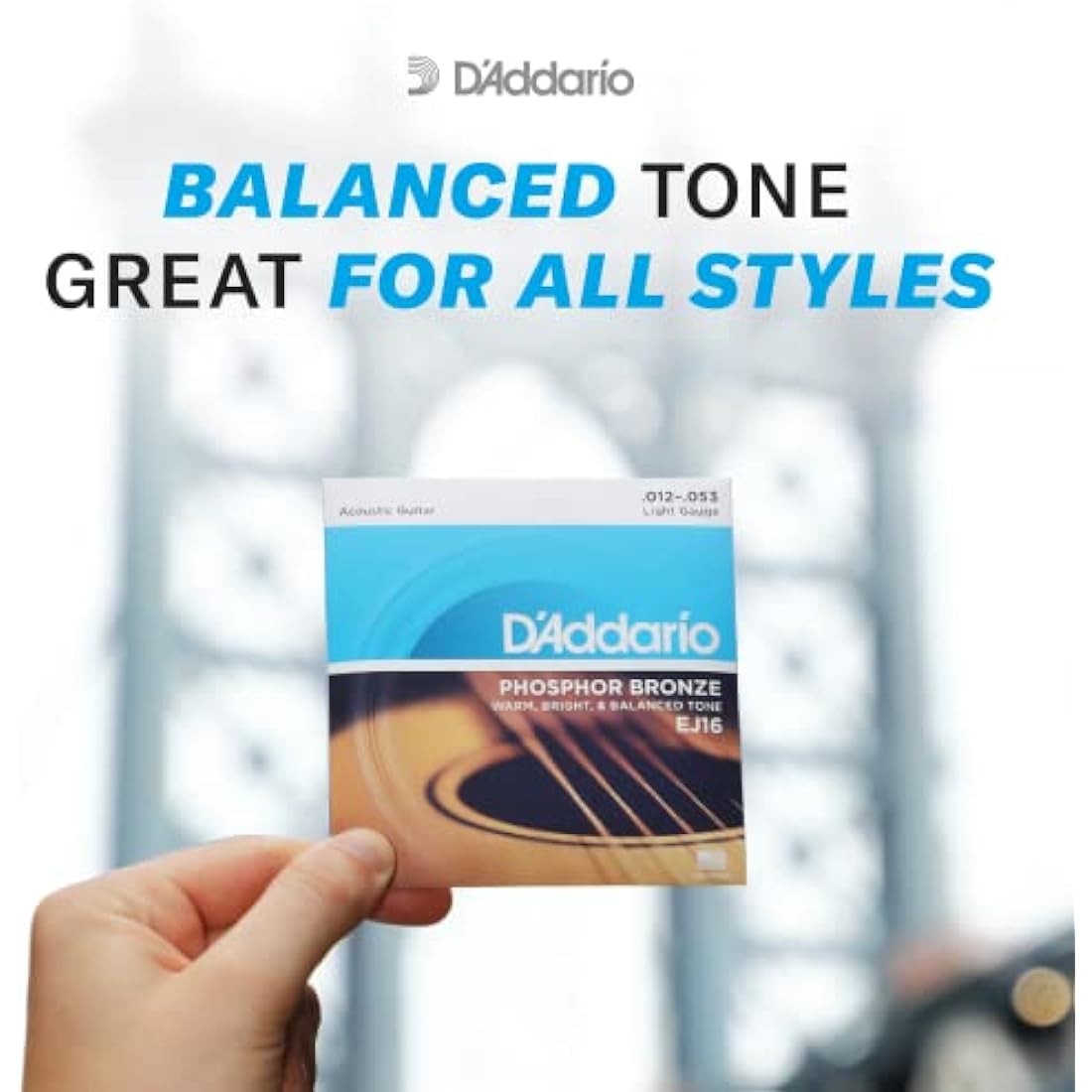 D'Addario Guitar Strings - Phosphor Bronze Acoustic Guitar Strings - EJ41 - Rich, Full Tonal Spectrum - For 12 String Guitars - 09-45 Extra Light 12-String
