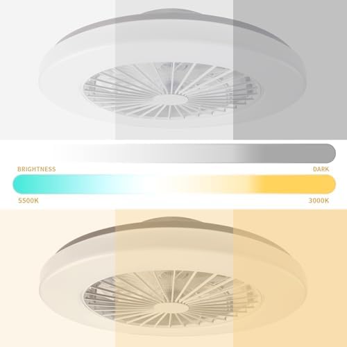 BKZO Modern LED Ceiling Light with Fan, Ceiling Fan with lamp, 24 Ventilation speeds, infinitely dimmable Light for Living Room, Bedroom, Office, 3000-5500 K,(White 48CM)