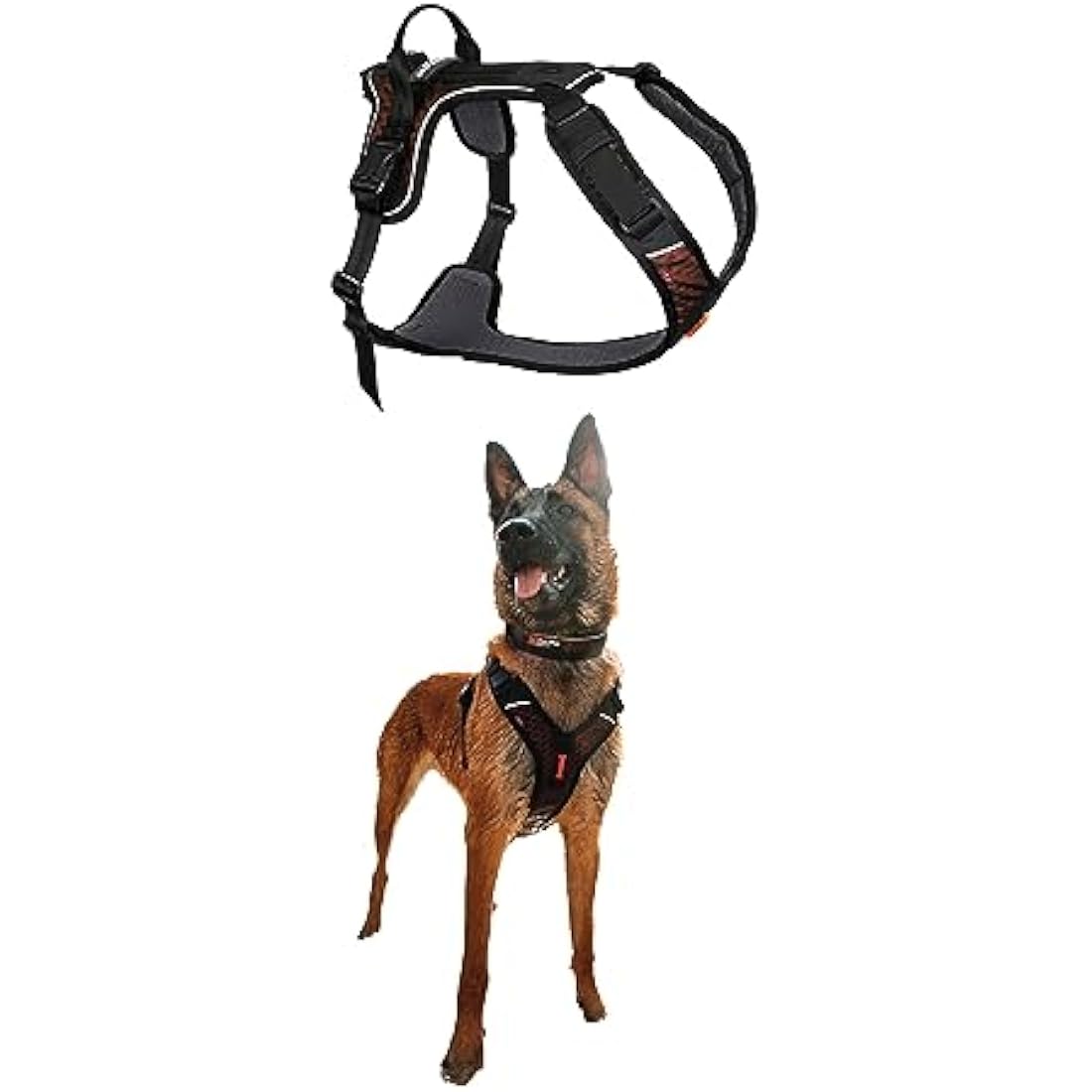 Rock Harness Parent (S)