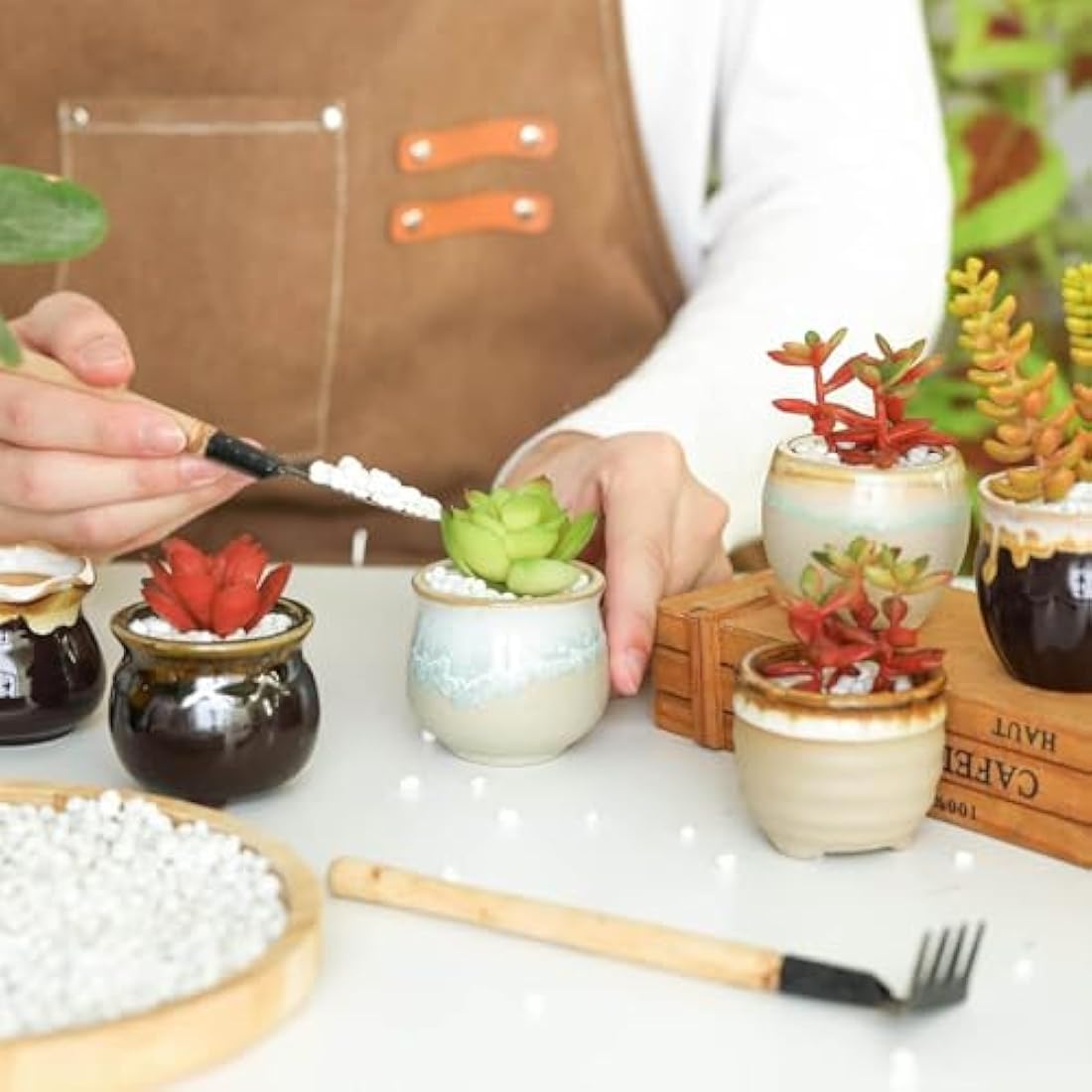 T4U Small Ceramic Succulent Pots with Drainage Set of 6, Mini Pots for Plants, Tiny Porcelain Planter, Air Plant Flower Pots Cactus Faux Plants Containers, Home and Office Decor