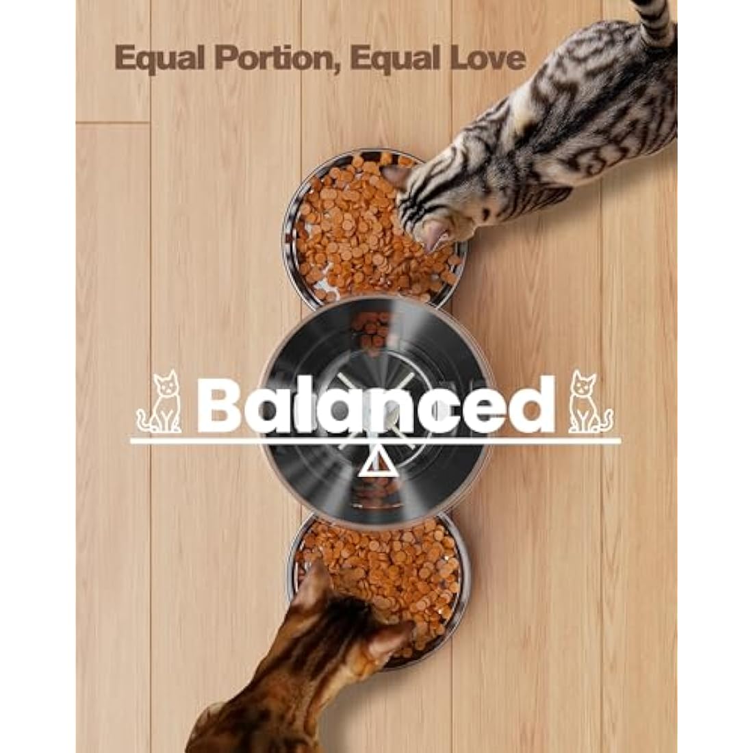 Automatic Cat Feeder For 2 Cats - Stainless Steel Cat Food Dispenser for Fresh Dry Food with Timer - 5L Electric Pet Feeder with Double Bowls Indoor- Auto Small Dog Feeder Dual Power - Button Control