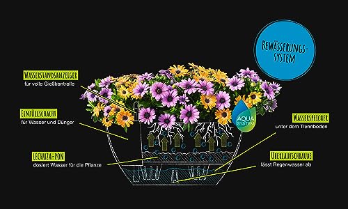 Lechuza Self Watering Plant Pot CUBETO Stone 40 Garden Flower Indoor and Outdoor Plastic Planter with Drainage Hole D40 H18 cm Graphite Black