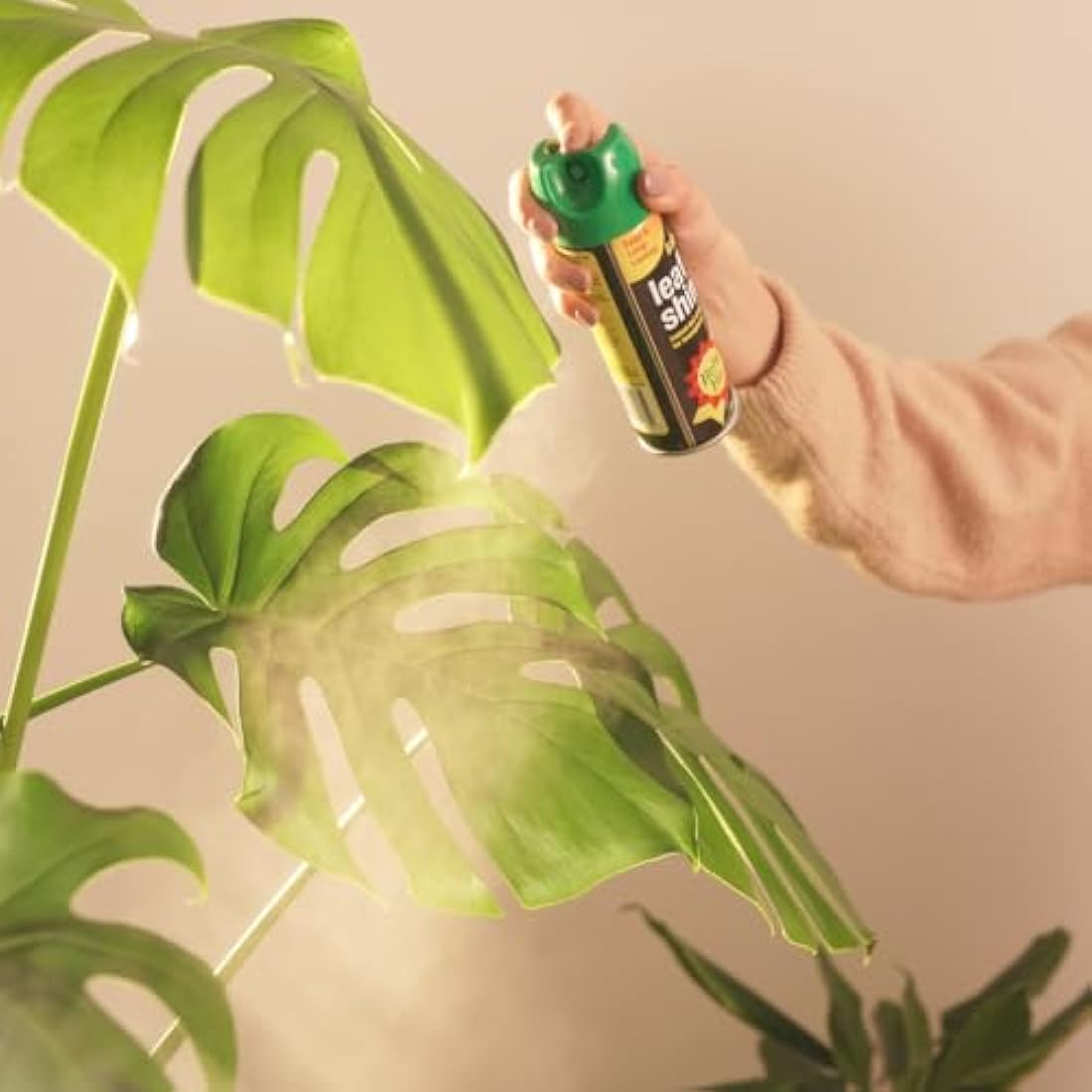 Baby Bio 84899143 Leaf Shine, 200ml - Ready To Use Houseplant Care - Aerosol Spray for a Natural Long Lasting and Healthy Shine - Removes Dust from Plant Leaves - Prevents Yellowing