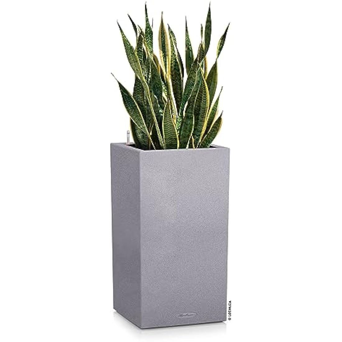 Lechuza Self Watering Plant Pot CANTO Stone 40 High Large Plastic Indoor and Outdoor Plant Pot with Drainage Hole H70 L40 W40 cm Stone Grey