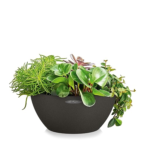 Lechuza Self Watering Plant Pot CUBETO Stone 40 Garden Flower Indoor and Outdoor Plastic Planter with Drainage Hole D40 H18 cm Graphite Black
