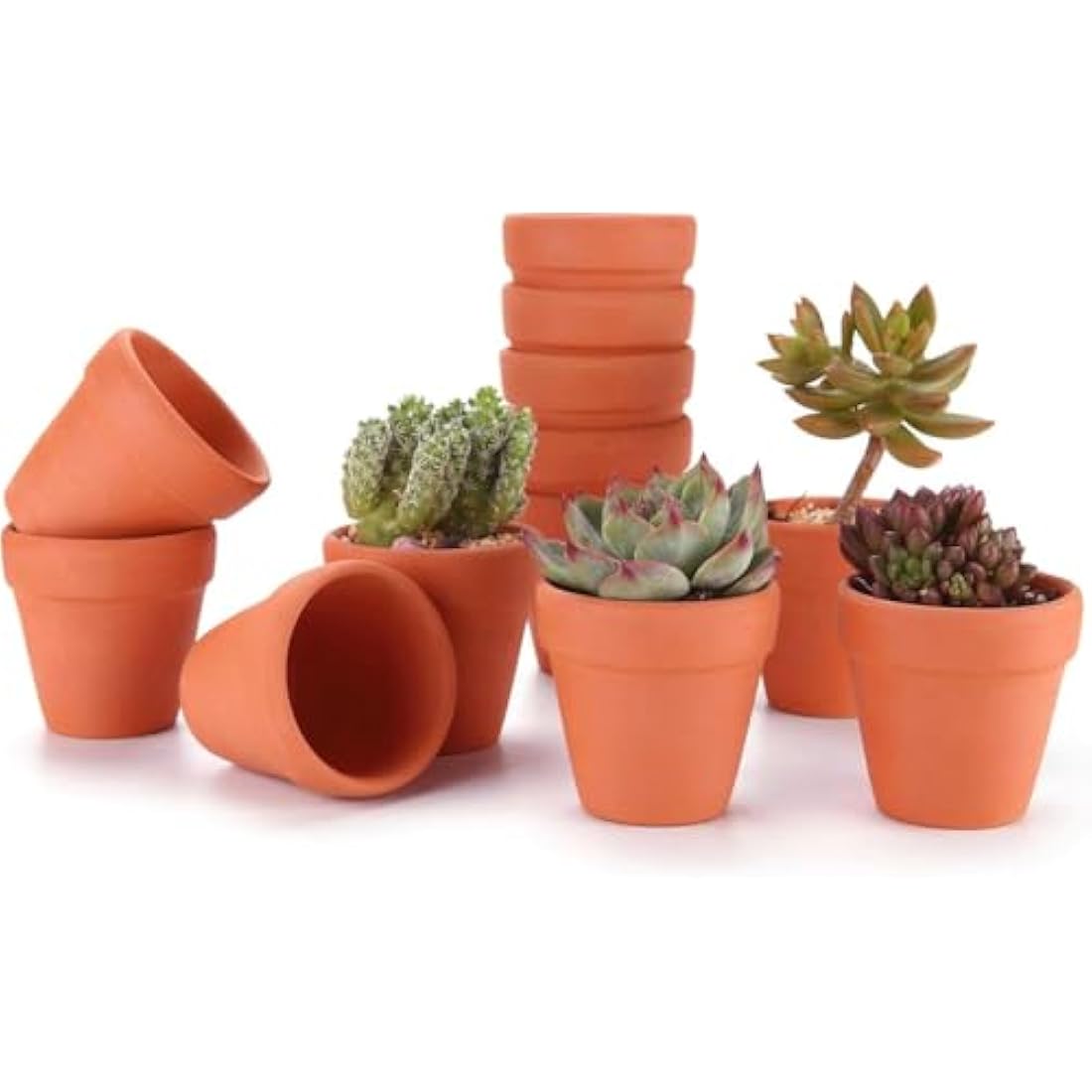 T4U 6.5CM Terracotta Plant Pots 12 Pcs, Mini Terracotta Pots with Drainage Holes, Small Clay Pots for Crafts, Small Plant Pots for Succulent Cactus Plants, DIY Mini Flower Pot, Gifts for Party Decor