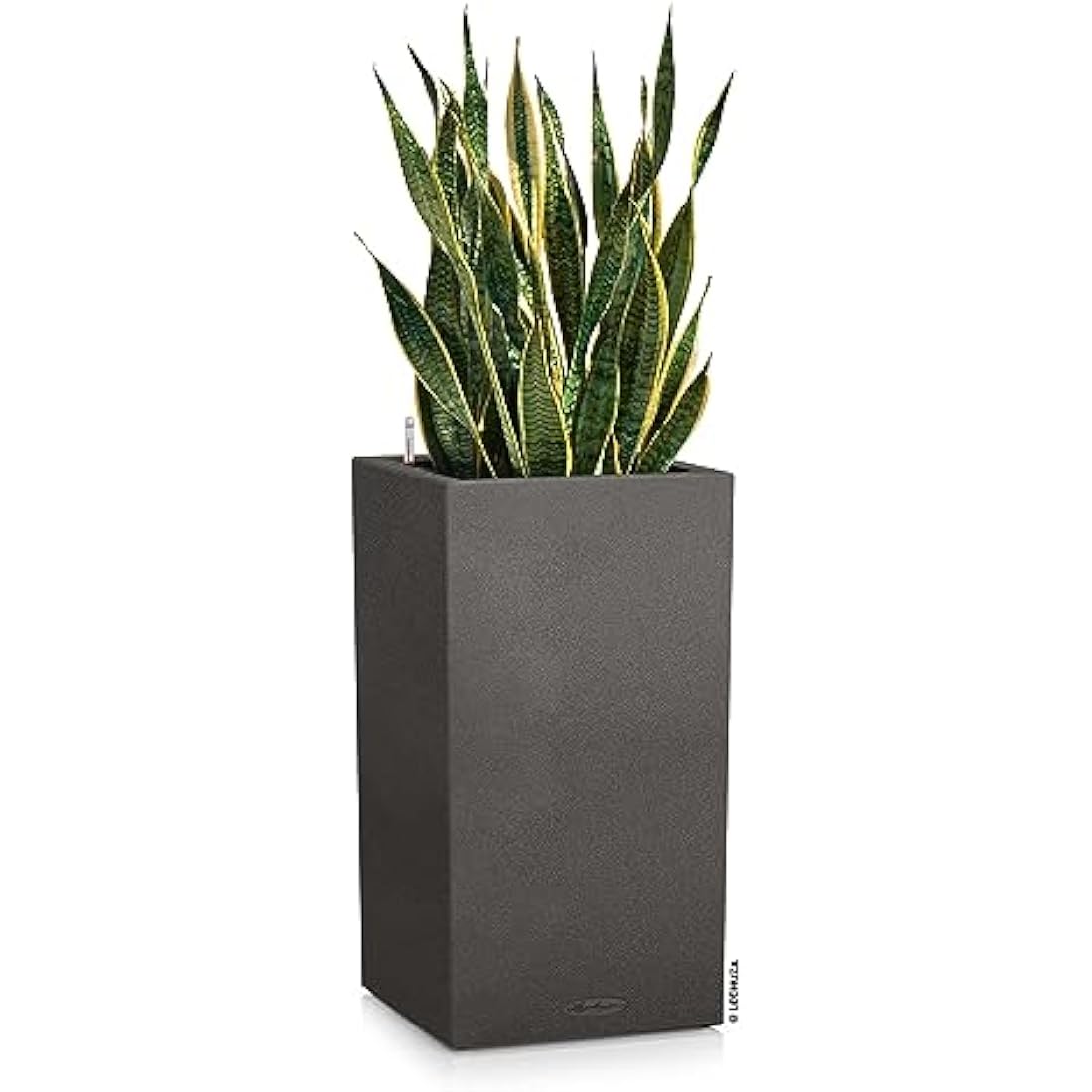 Lechuza Self Watering Plant Pot CANTO Stone 40 High Large Plastic Indoor and Outdoor Plant Pot with Drainage Hole H70 L40 W40 cm Graphite Black