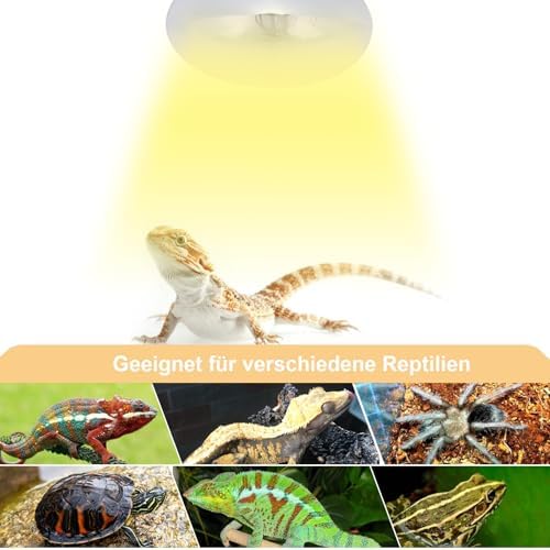 DERNORD Mercury Vapour Bulb Tortoise - 160W UVA UVB Heat Lamp Bulb for Reptile Turtle Snakes Bearded Dragon Vivarium Spotlight Basking Bulbs E27 Screw