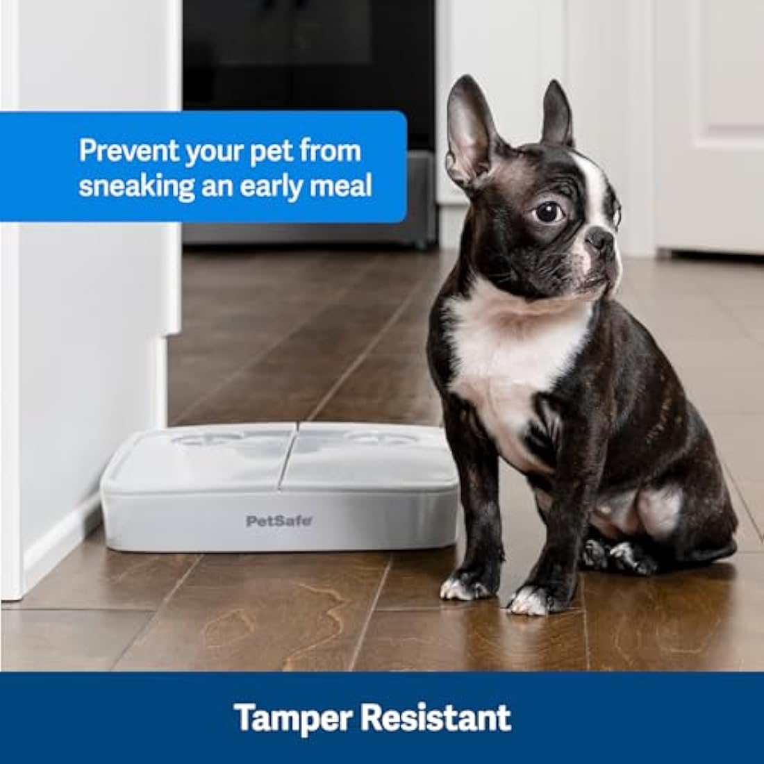 PetSafe 2 Meal Automatic Feeder, Built-in Timers, BPA Free Food Bowl, Suitable for Dry Food,Grey