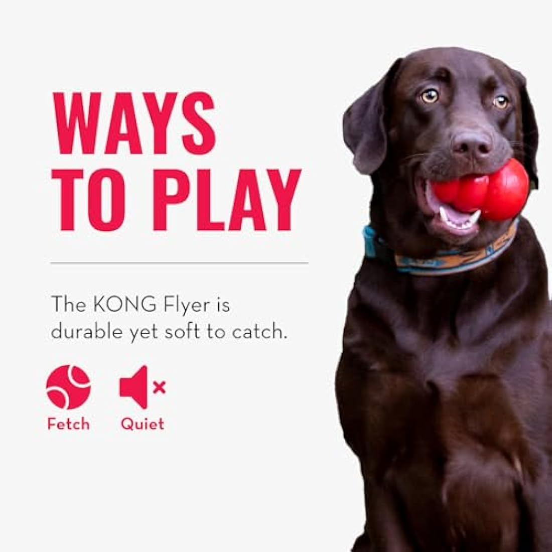 KONG Flyer - Durable Dog Toy for Outdoor Playtime - Natural Rubber Flying Disc for Fetch - For Medium/Large Dogs
