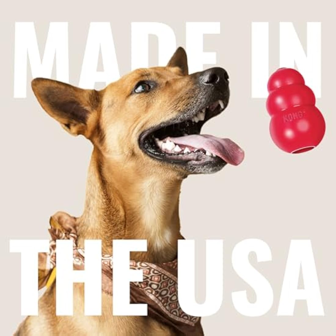 KONG Flyer - Durable Dog Toy for Outdoor Playtime - Natural Rubber Flying Disc for Fetch - For Medium/Large Dogs