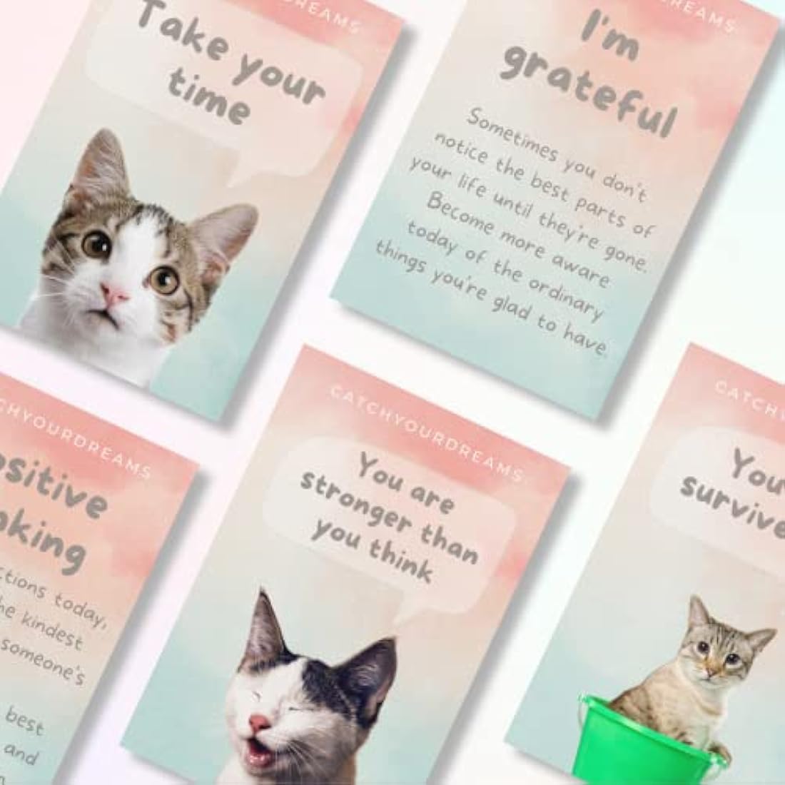 Catchyourdreams Cats Against Anxiety Cards - 50 Cards For Self Esteem and Stress, Affirmations for Anxiety Emotions Oracle Tarot Self Therapy