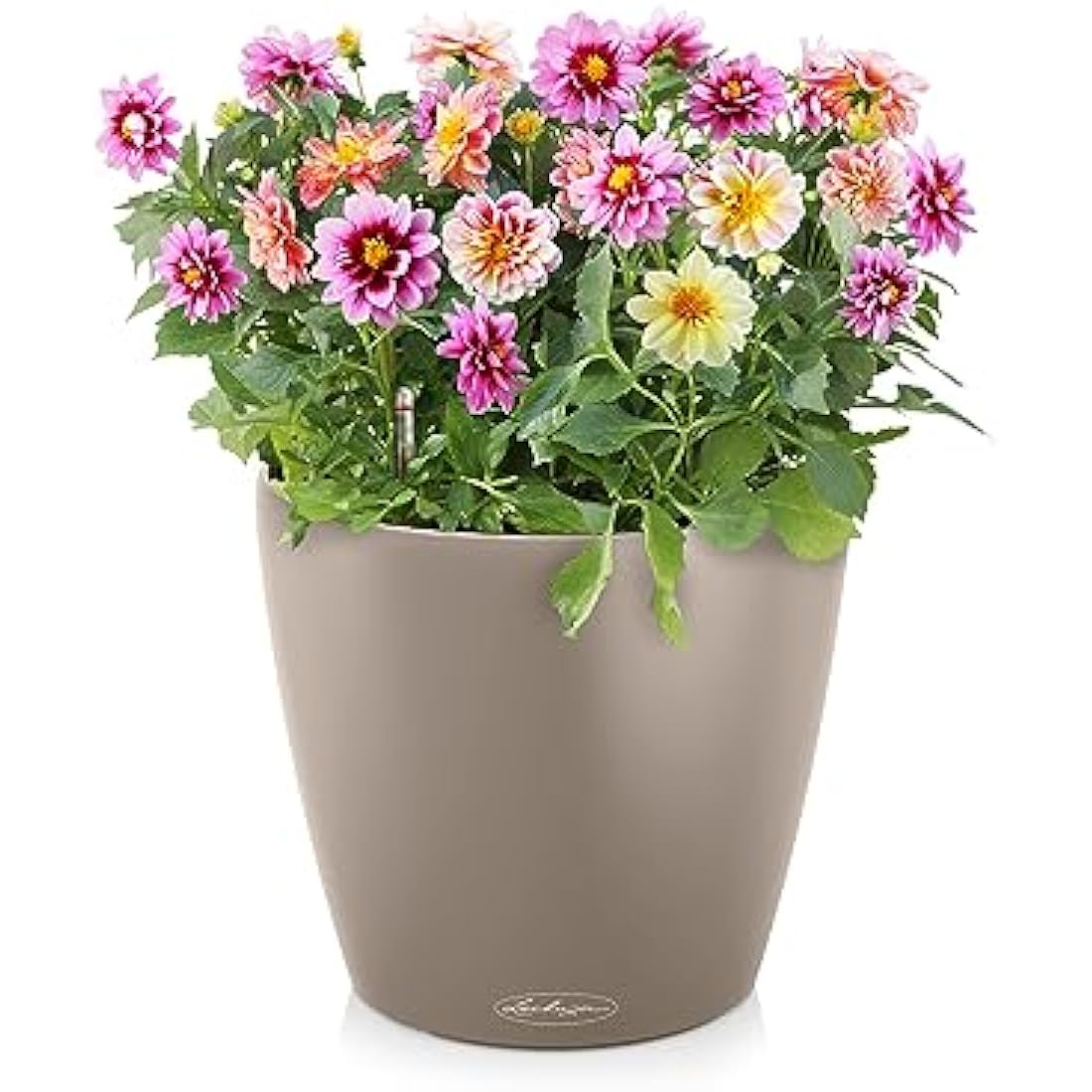 Lechuza CLASSICO Color 60 Self Watering Planter Large Garden Plastic Indoor and Outdoor Flower Plant Pot with Drainage Hole D60 H55.5 cm Sand Brown