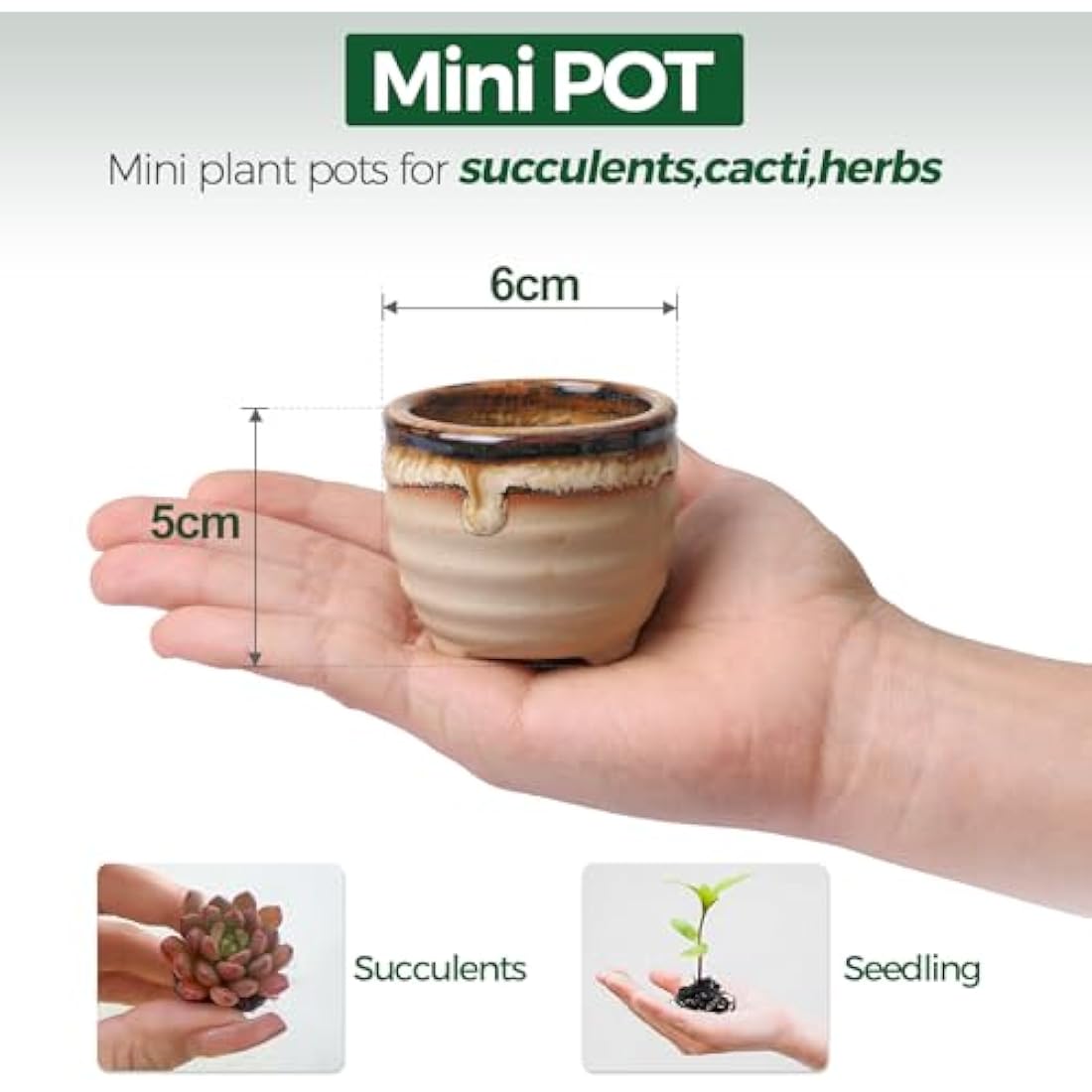 T4U Small Ceramic Succulent Pots with Drainage Set of 6, Mini Pots for Plants, Tiny Porcelain Planter, Air Plant Flower Pots Cactus Faux Plants Containers, Home and Office Decor