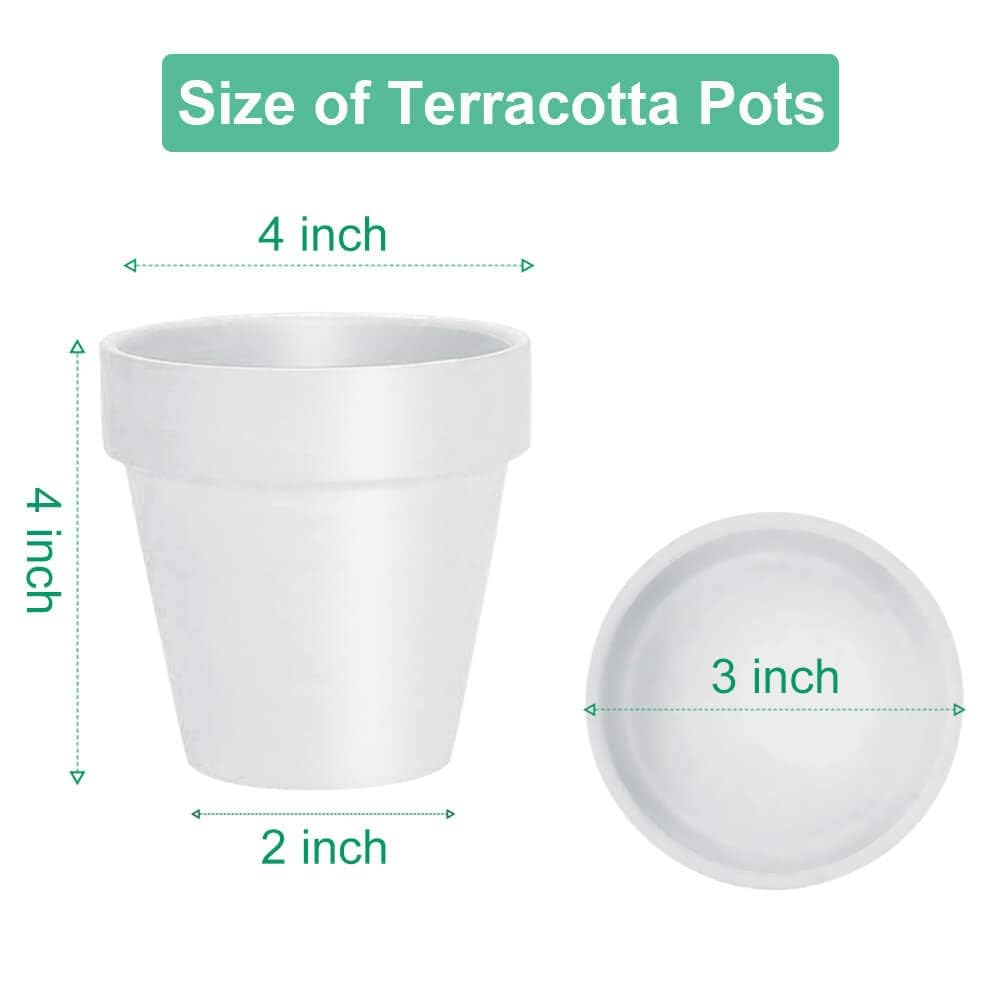 vensovo 10.16cm White Clay Pot for Plant with Saucer - 6 Pack Small Terra Cotta Plant Pot with Drainage Hole, Flower Pot with Tray, Terracotta Pot for