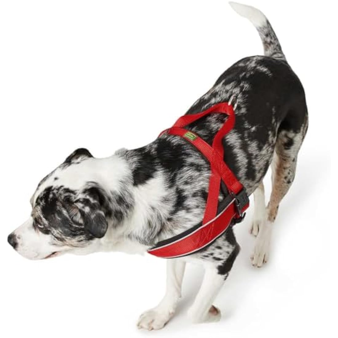 Hunter Racing Norwegian harness for dogs, nylon, reflective, coat-friendly, Black, L