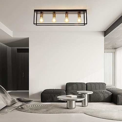 Black Ceiling Lights 4 Lights, Modern Industrial Ceiling Light E27 Flush Mount, LED Metal Cage Ceiling Light Fixture for Bedroom Living Room Kitchen Hallway Studio max.60W - NO Bulb