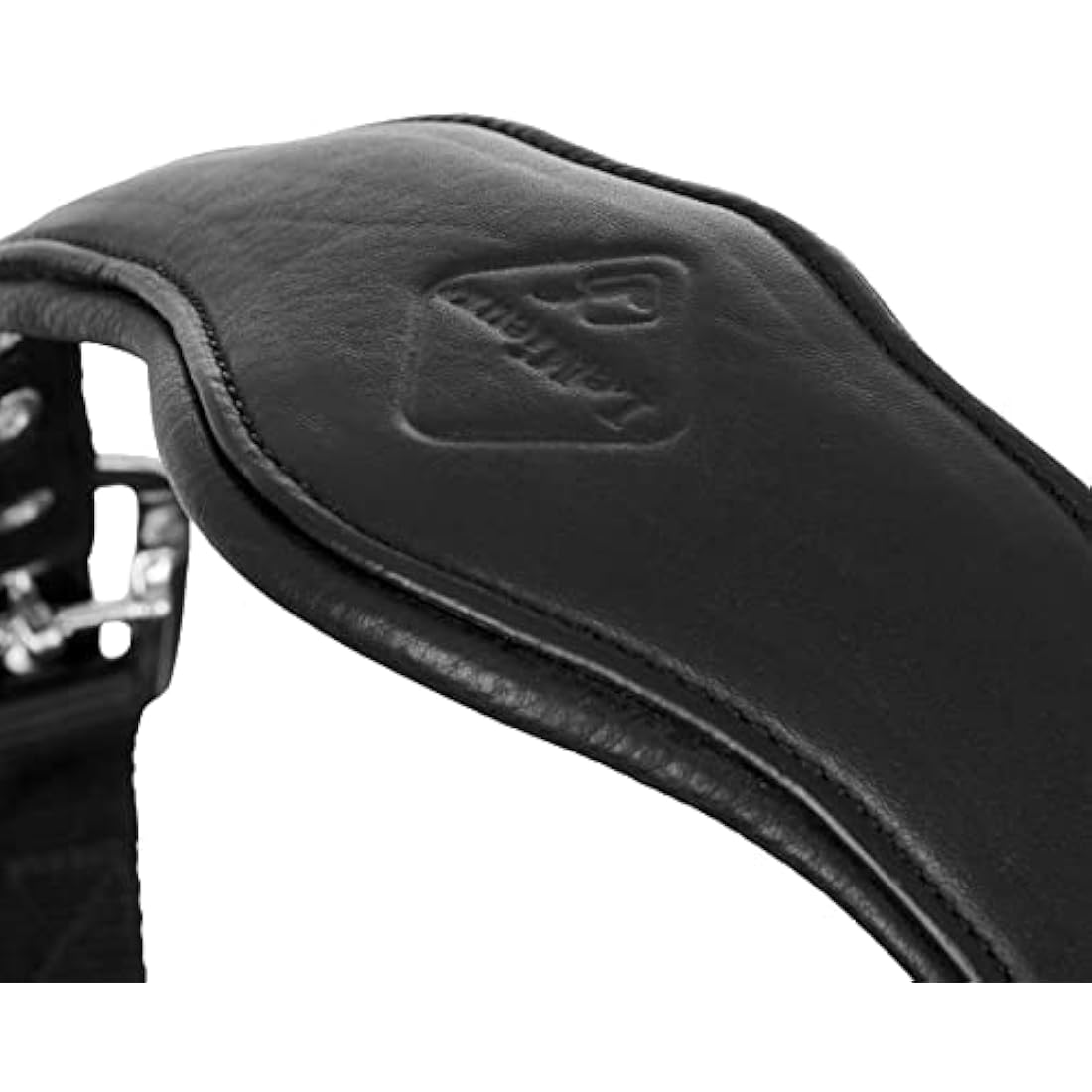 LeMieux Capella Headcollar for Horses - Leather/Nylon - Pressure Relief & Soft Touch
