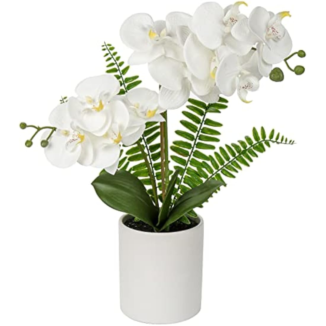Briful White Orchid Artificial Flowers in Ceramic Pot Fake Orchid White Silk Phalaenopsis Flower Arrangement Artificial Orchid Plant Indoor for Home Office Kitchen Bedroom Wedding Decor